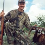 Mouflan Ram Exotic Hunting Texas