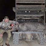 Feral Hog Boar Hunting Texas