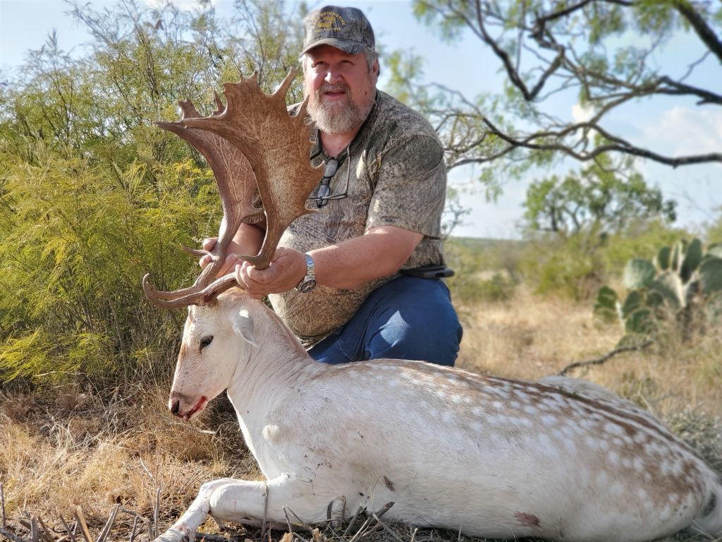 Fallow Deer Exotic Hunting Texas