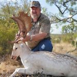 Fallow Deer Exotic Hunting Texas