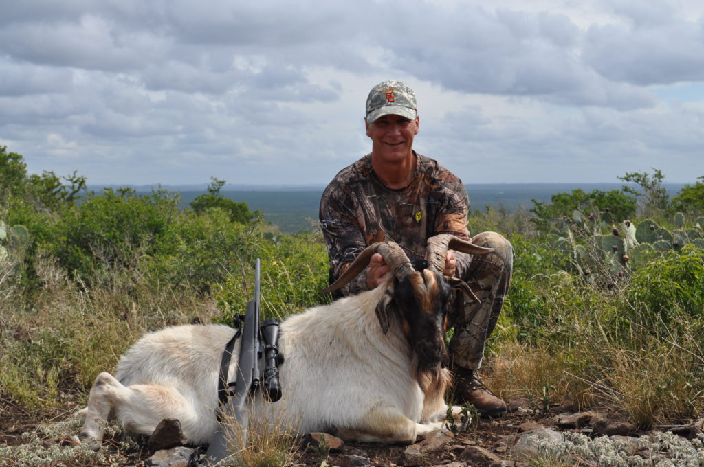 Goat Exotic Hunting Texas