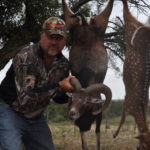 Mouflan Ram Exotic Hunting Texas