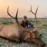 Elk Hunting Texas